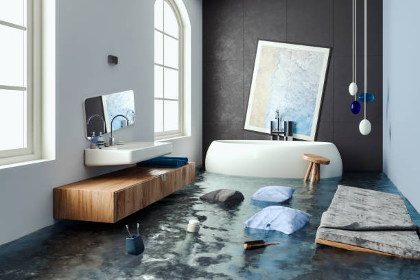 Best Ceiling water damage repair  in Coralville, IA