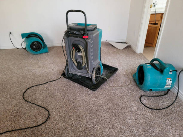 Best Water damage restoration near me  in Coralville, IA