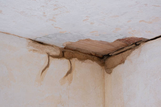 Best Flooded house restoration  in Coralville, IA
