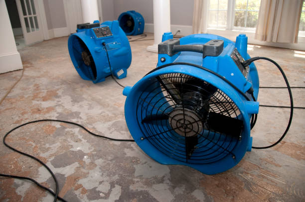 Best 24-hour water damage restoration  in Coralville, IA