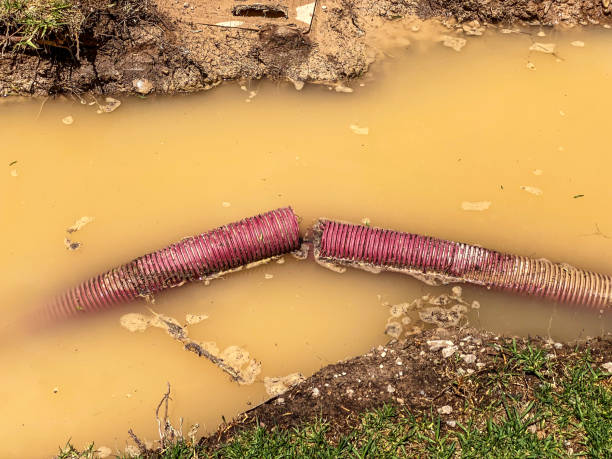 Best Commercial water damage restoration  in Coralville, IA
